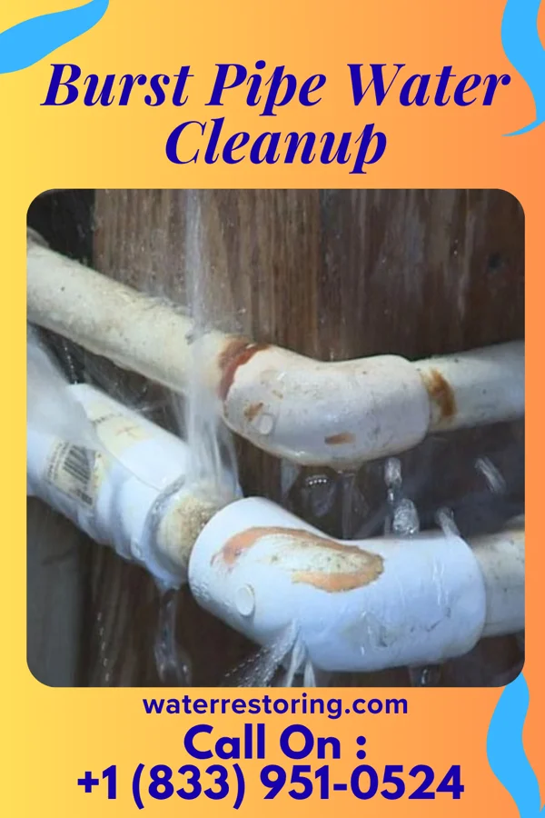 Burst Pipe Water Cleanup in Wolsey, SD