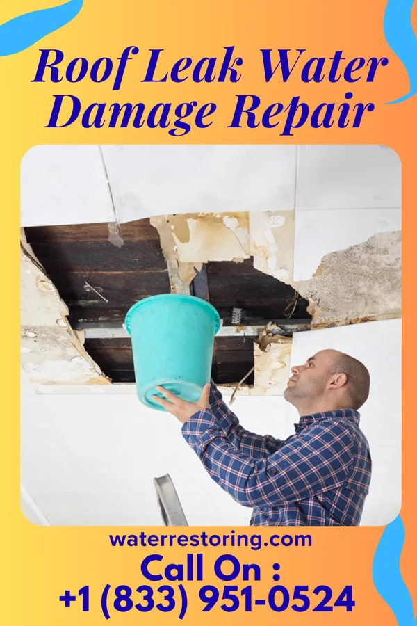 Roof Leak Water Damage Repair in Wolsey, SD