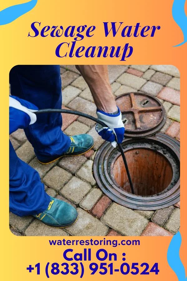 Sewage Water Cleanup in Wolsey, SD