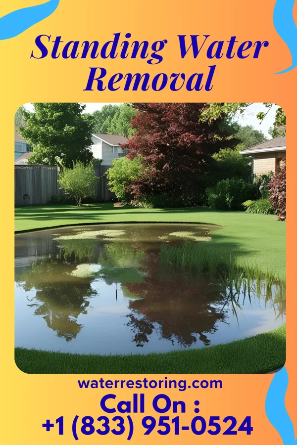 Standing Water Removal in Wolsey, SD